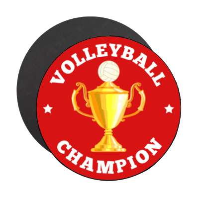 volleyball champion trophy stickers, magnet