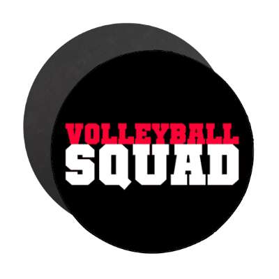 volleyball squad stickers, magnet