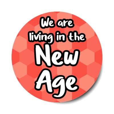 we are living in the new age stickers, magnet