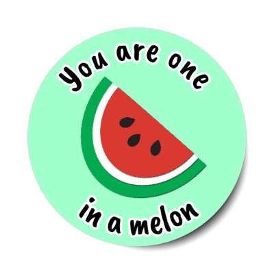 you are one in a melon watermelon pun stickers, magnet