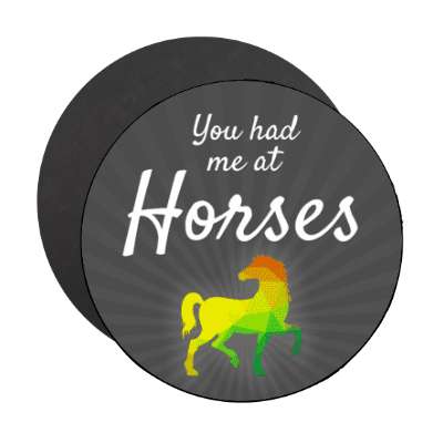 you had me at horses colorful horse silhouette stickers, magnet