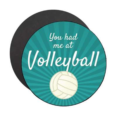 you had me at volleyball stickers, magnet