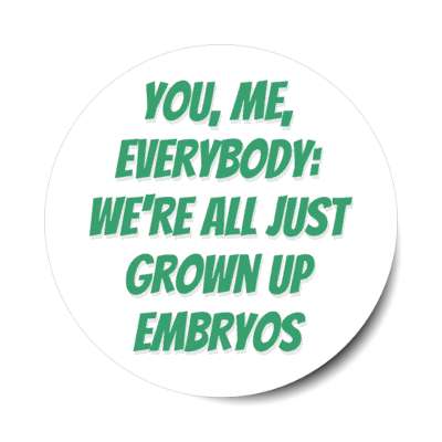 you me everybody were all just grown up embryos stickers, magnet